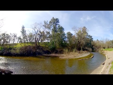 Twice as Many ​Birds After ​Water Restored ​– ​Ecosystem Case ​Study ​