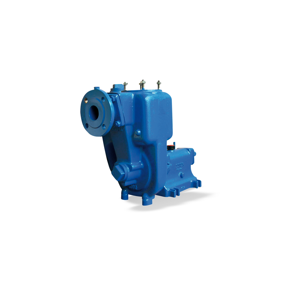 Dry-installed pump AU