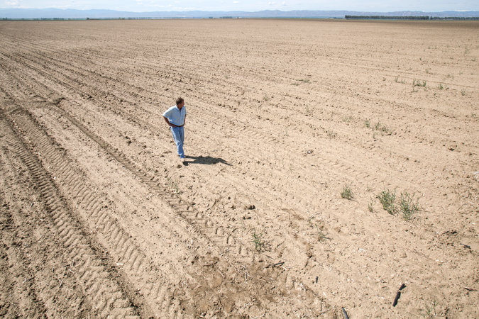 California’s Thirsting Farmland