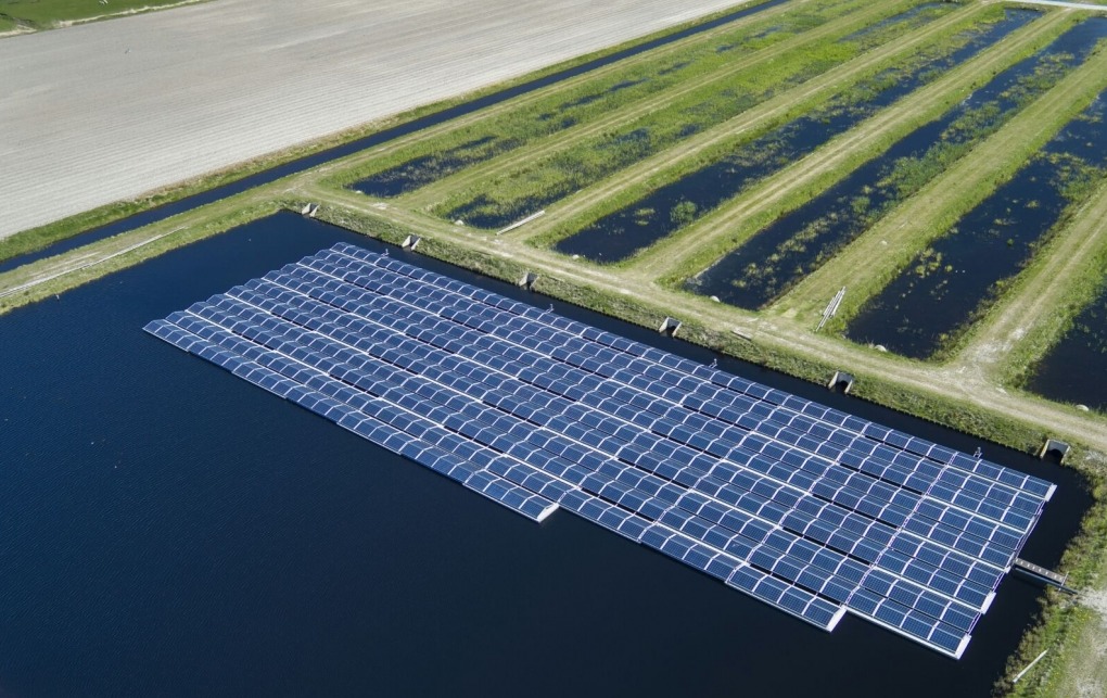 Floating Solar Farm Group Targets 2,000 Hectares of Water