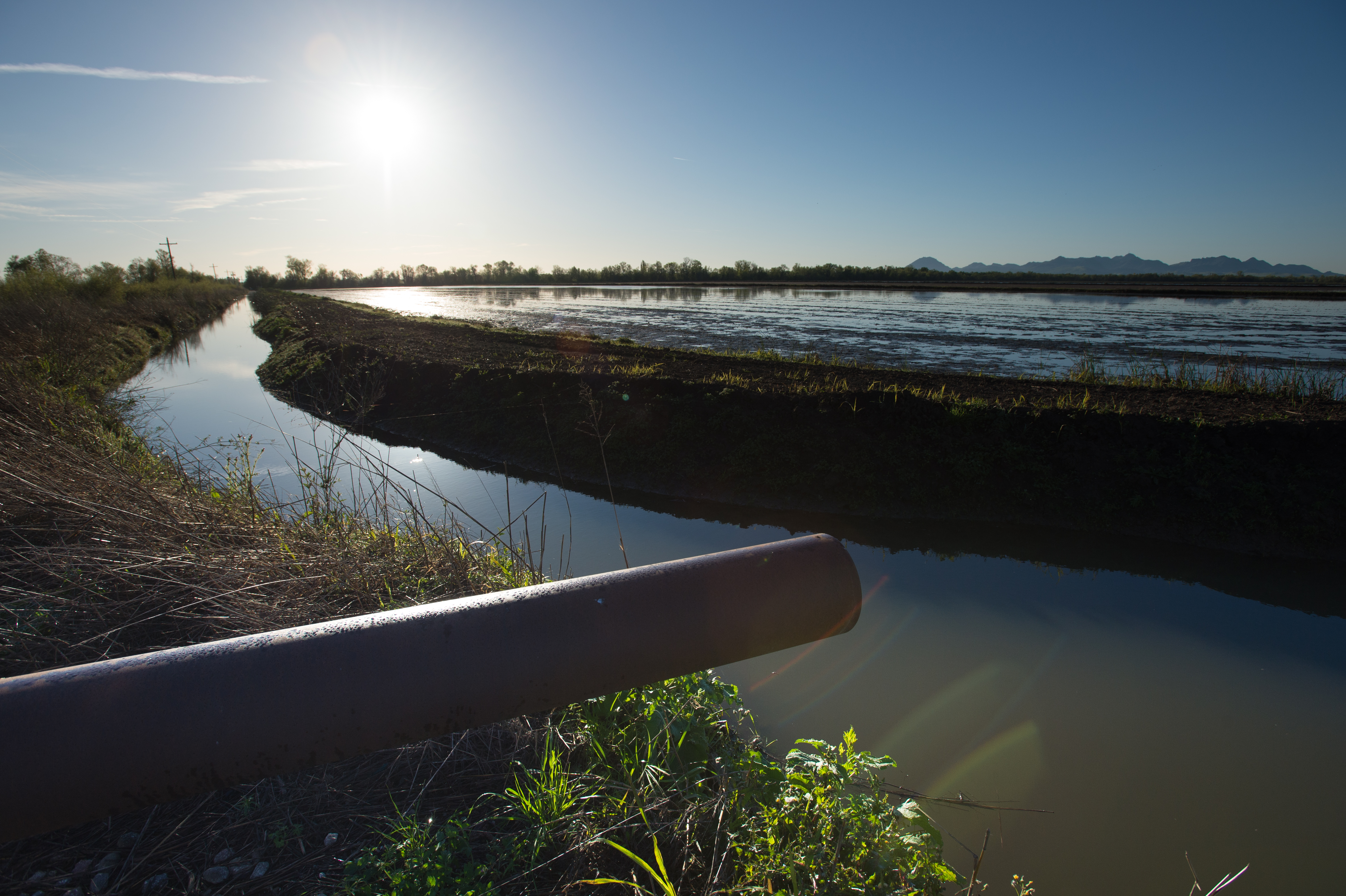 California DWR Awards $47 Million in Grants for Groundwater Sustainability