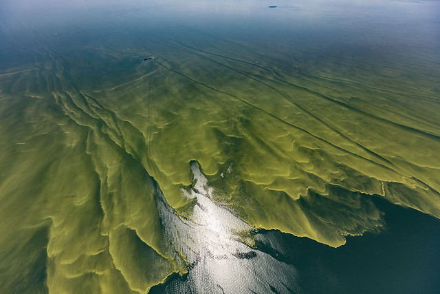 How Researchers  are Using Two Online Tools to Fight Lake Erie Algal Blooms