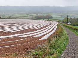 10 Disruptive Trends for Crop Protection