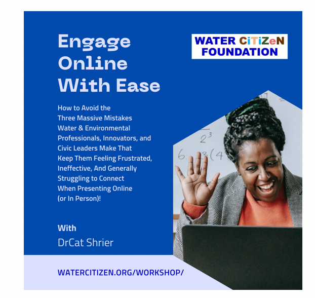 Environmental Professionals, Innovators & Civic Leaders- how to Engage Online With Ease!