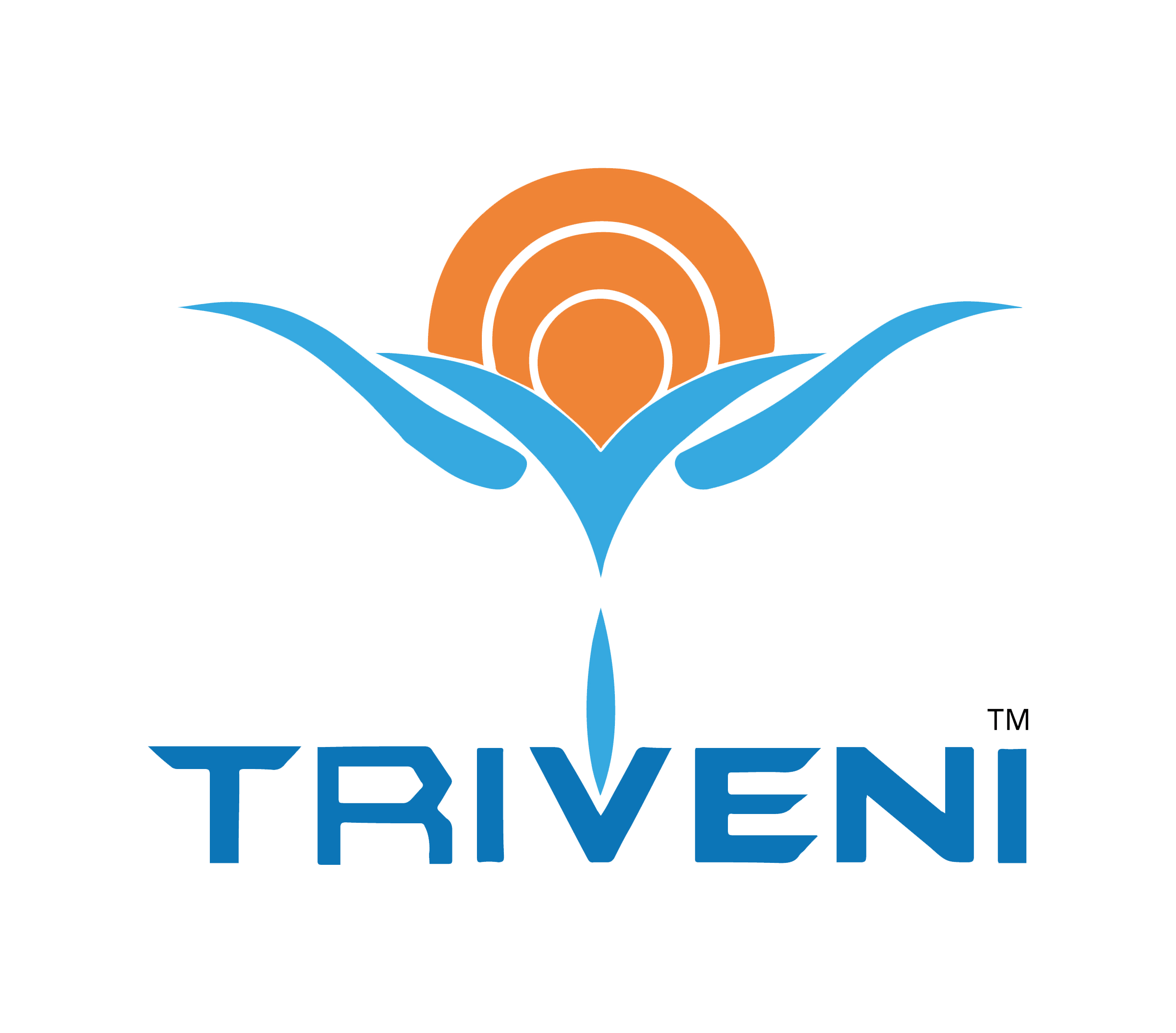 Triveni Company : Chemical Industry  & WTP,WWTP, Mining chemical Supplier in Chennai