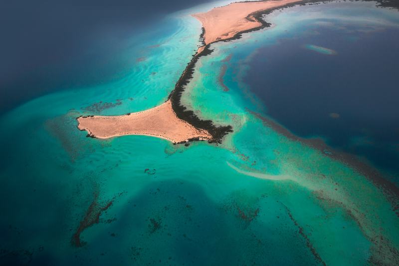 "Brains for Brine Challenge" Launched to Find New Solutions to Protect Marine Life