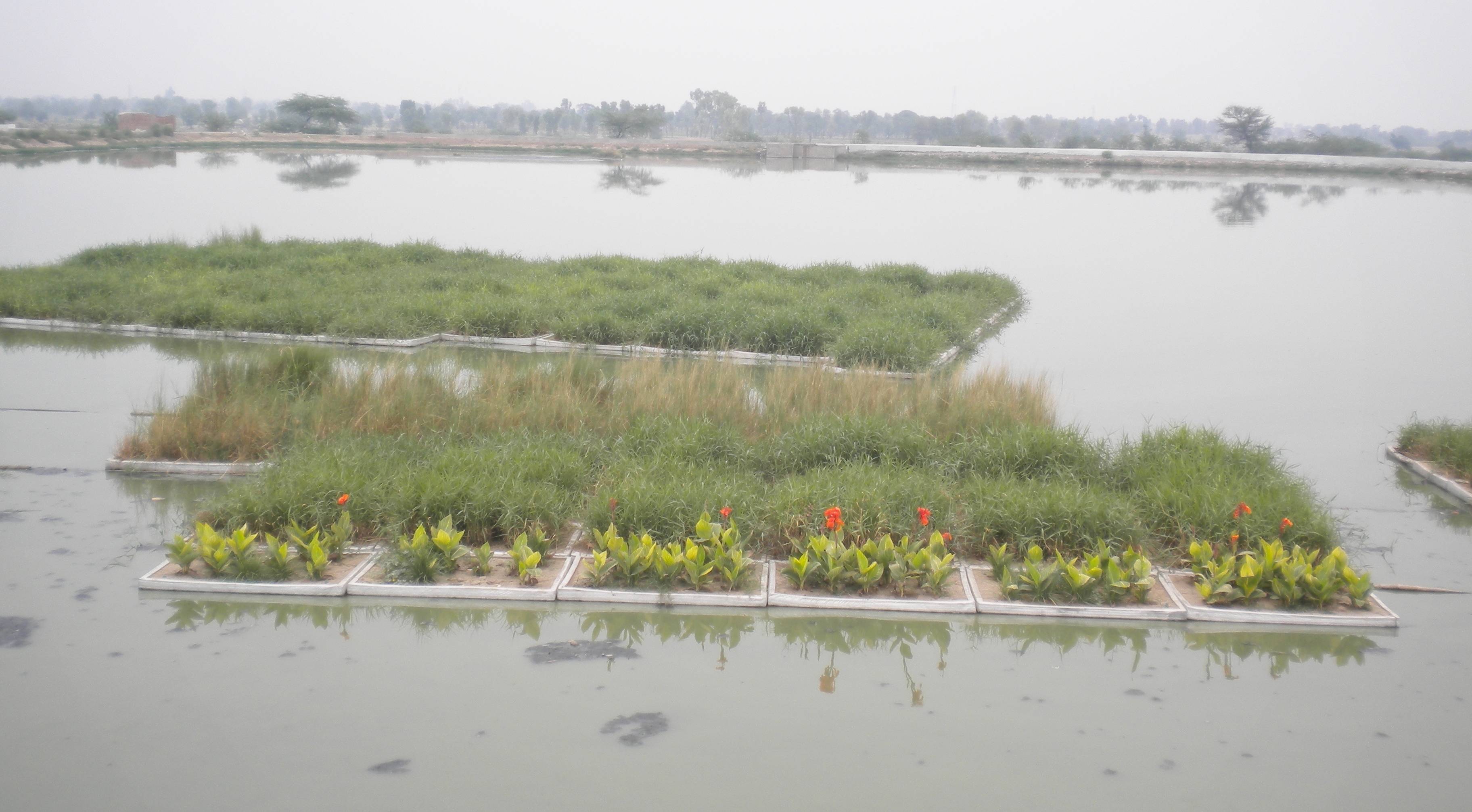 Floating Wetlands for Low-cost Wastewater Treatment