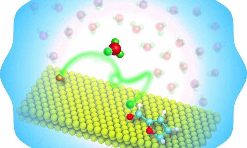 Engineers Discover Novel Role of Water in Production of Renewable Fuels