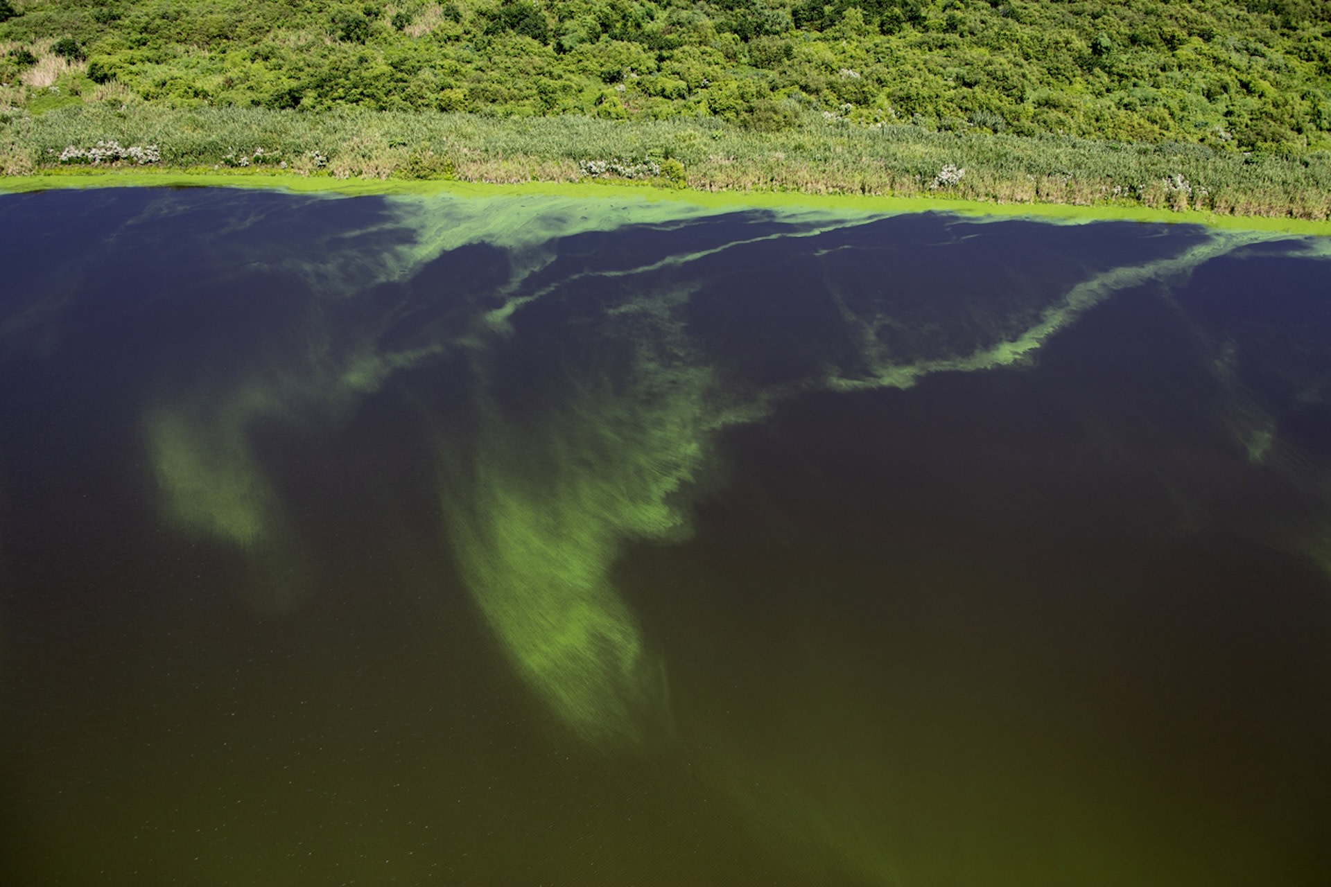 Florida allocates millions in funding for technology to fight toxic algae: &#039;A critical component of our multi-faceted approach to protecting wat...