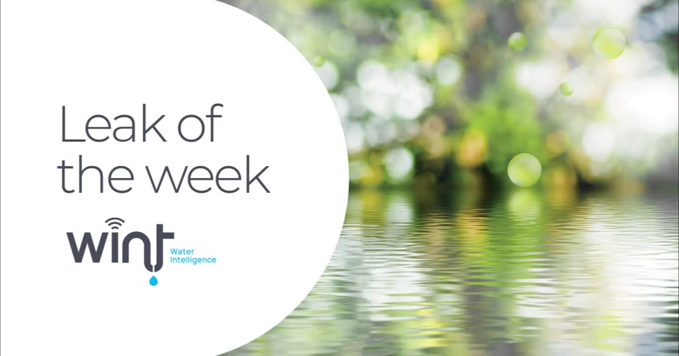 In this Leak of the Week WINT - Water Intelligence saved our customer hundreds of thousands of dollars by remote valve shut off mitigating leak ...