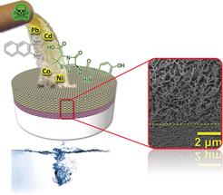 Tough Aqua Material for Water Purification