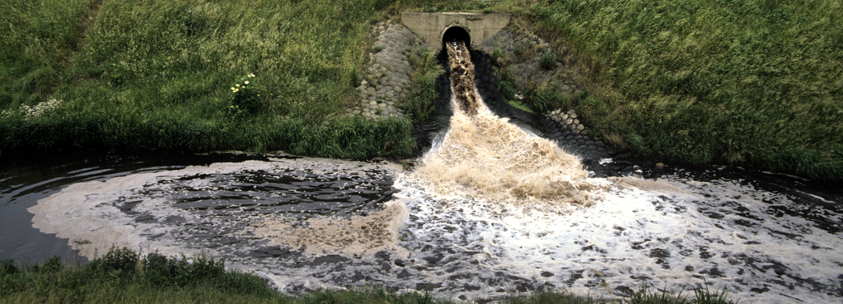 La terre polluée et l’eau usée, des placements bons pour la planète