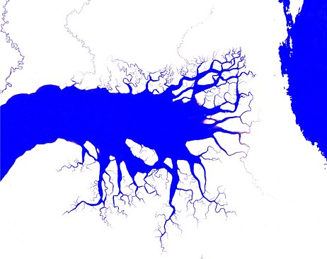 Satellite Images Reveal How The Earth's Surface Water Has Changed