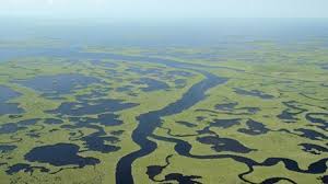 To save Everglades, guardians fight time - and climate