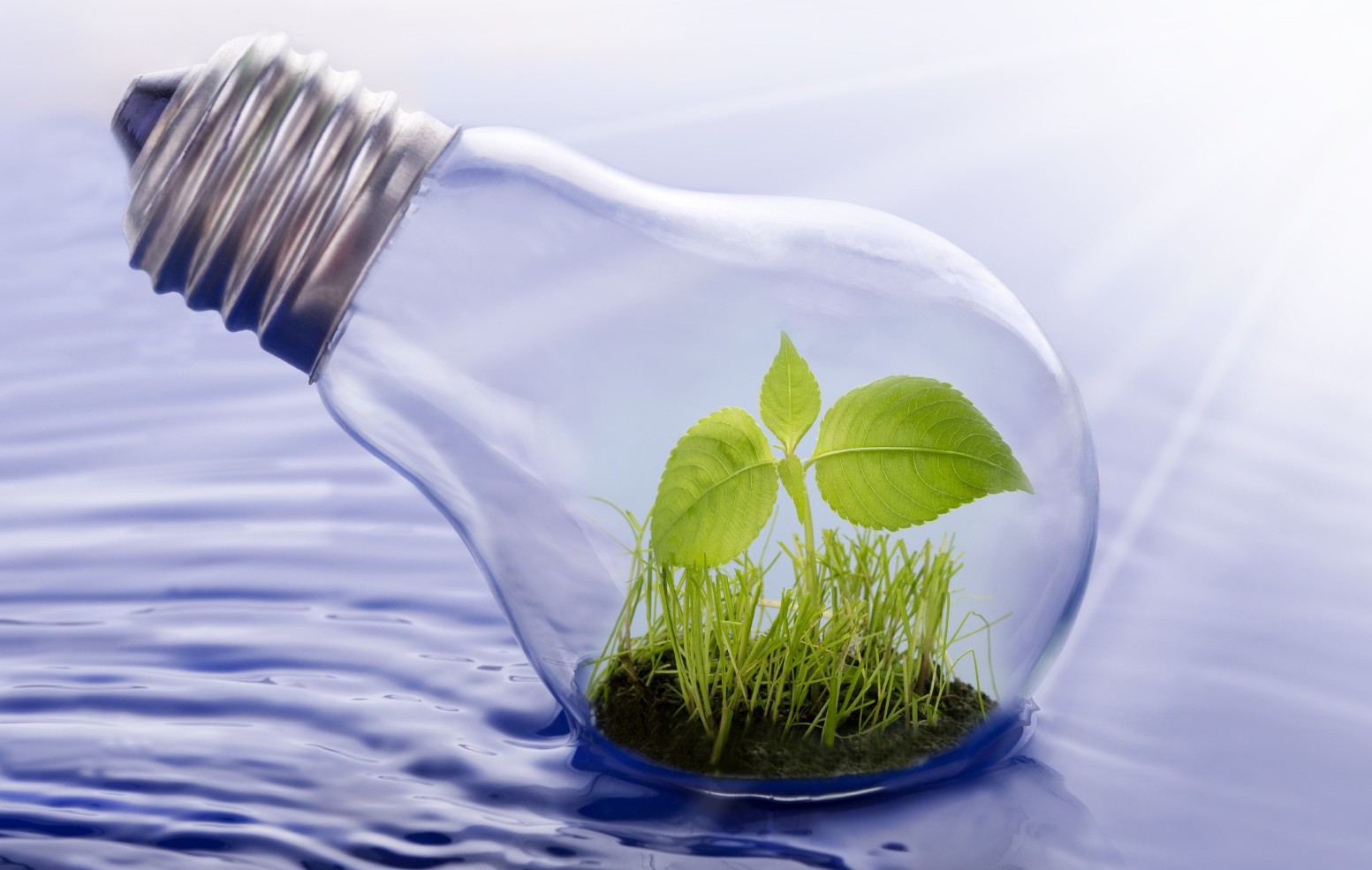The Green Economy and the Water-Energy-Food Nexus