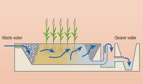 Recent developments in hybrid constructed wetlands for nitrogen removal in wastewater treatment