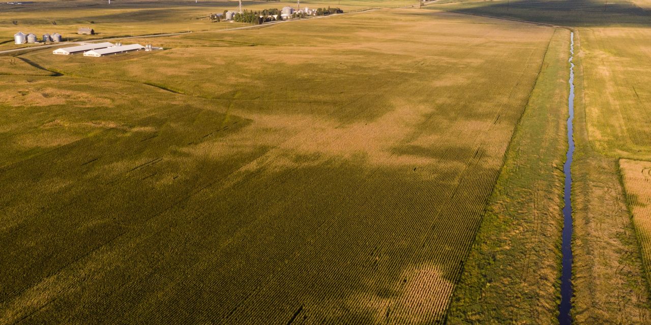 Tech Startup, Trying to Be Amazon for Farms, Runs Into Ag GiantsInside a packed arena last December, 2,700 farmers sipped coffee from paper cups...