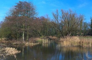 Small businesses given boost to generate bioenergy from wetlands