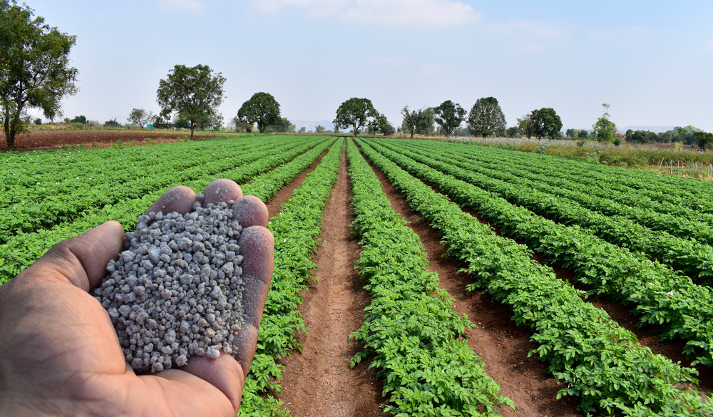 It&rsquo;s Possible to Reduce Fertilizer Emissions by 80 Percent Before 2050New research quantifies the fertilizer lifecycle and outlines various ap...
