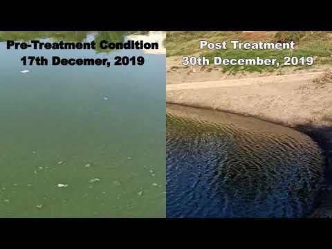 Edudi Lake, Ahmadabad, Gujarat was transformed with Cownomics Technology between 17th December, 2019 till January, 2020.The treatment case study...