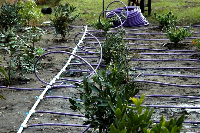 Drip Irrigation Reduces Greenhouse Gas Emissions