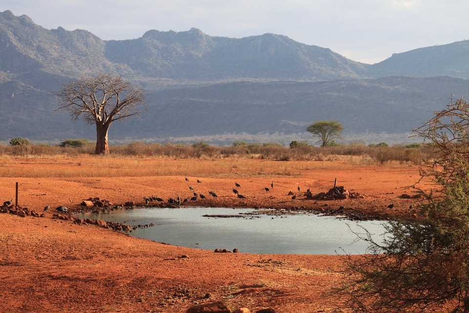 Tracking Groundwater Offers Clues to our Migrations and Gene Pool