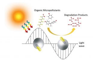 Purifying water with a partly coated gold nanoparticle