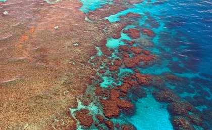 Pesticide Mixtures an Underestimated Problem at the Great Barrier Reef