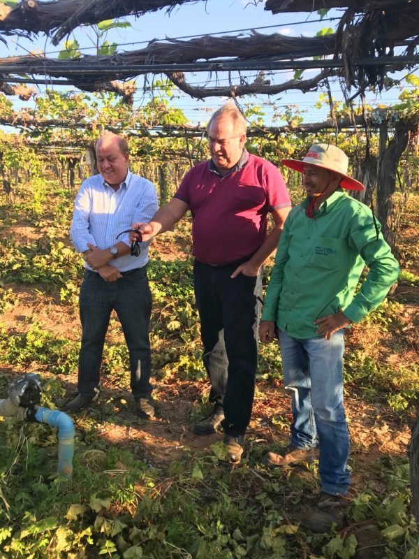 How Irrigation Water Quality Influences Production in Brazil