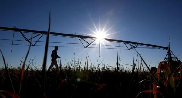 Australia's Acclaimed Water Market Cracks Due to Drought