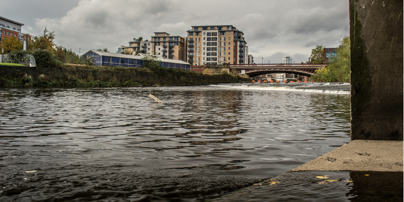 Cocktail of drugs is polluting our rivers