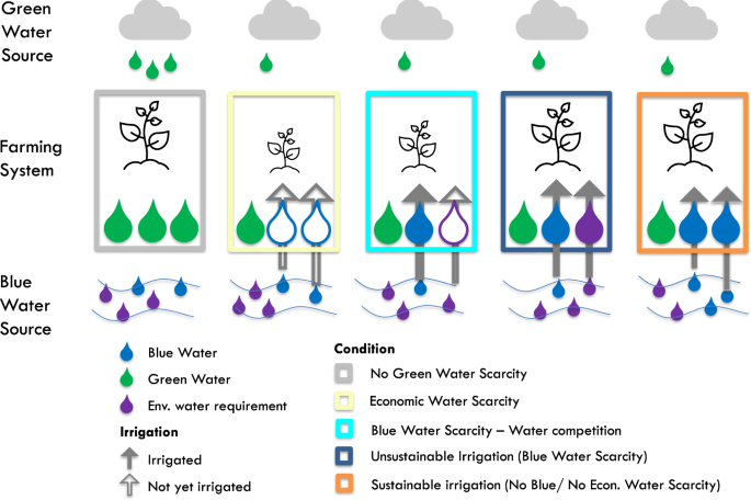 Competition for water induced by transnational land acquisitions for agriculture - Nature Communications