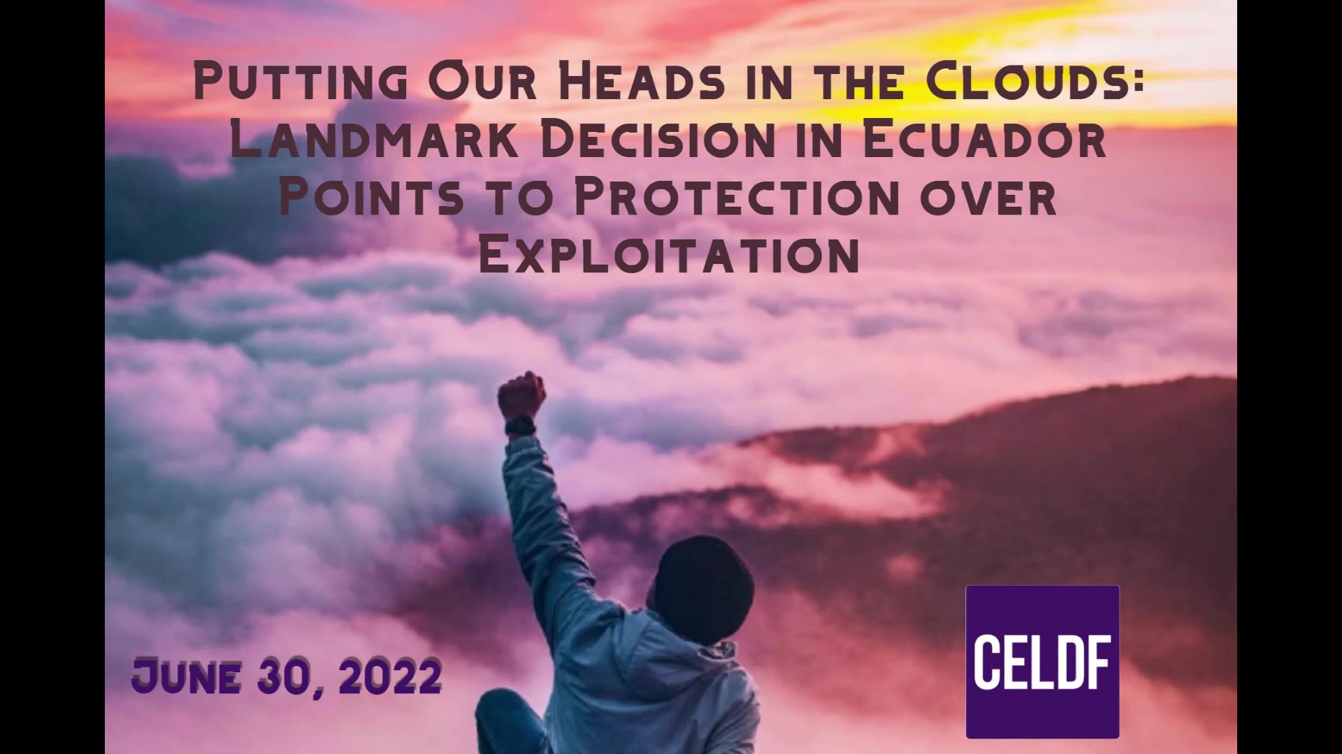 Available Now: English Translation & Webinar of the Landmark Decision in Ecuador to Protect Los Cedros Forest over Mining Profits - CELDF