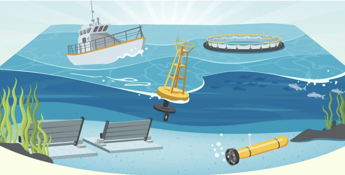 Investment in offshore wave powered Desalination