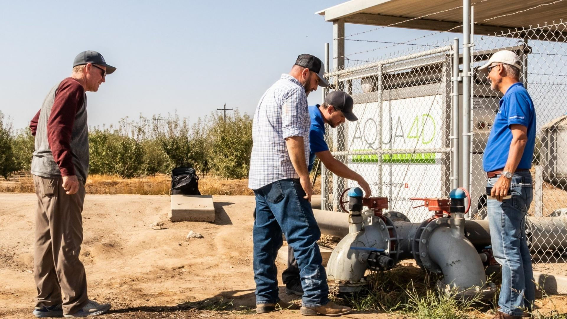 Avocado Precision Irrigation Boosts Water Efficiency and Productivity