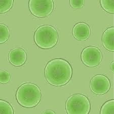 Produced Water Treatment Using Microalgae