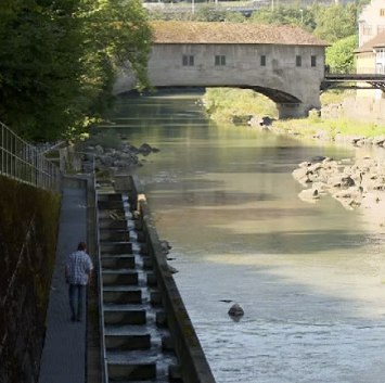 Restoring life in Swiss rivers