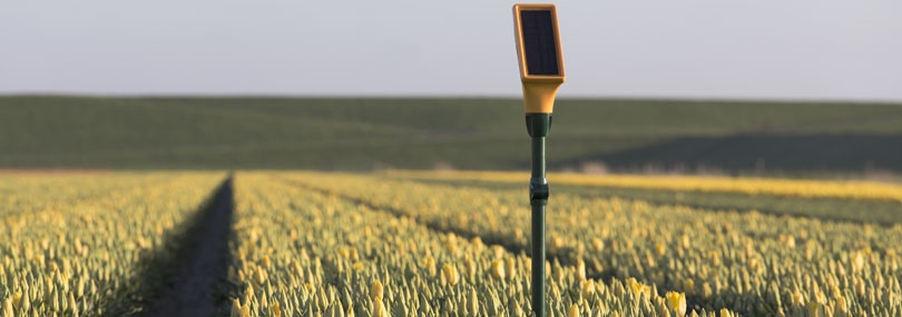 Eijkelkamp Equipment & Dacom Join Forces on Soil-water Sensoring