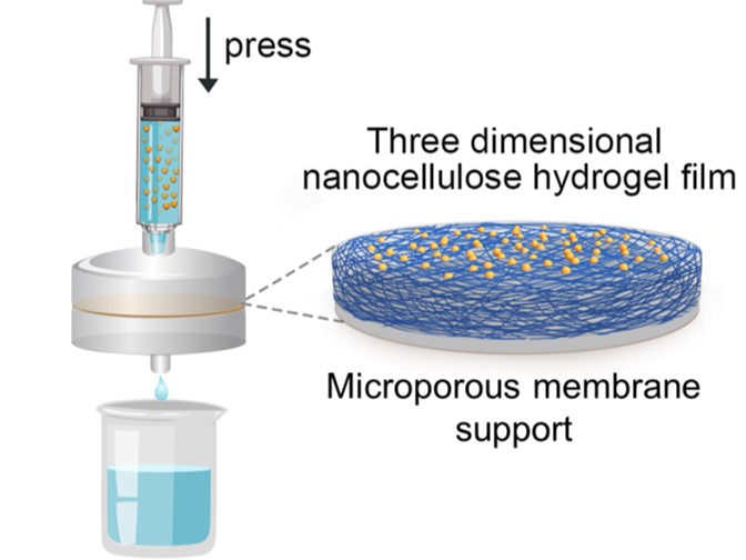 Injectable Water Filtration System Could Improve Access to Clean Drinking Water