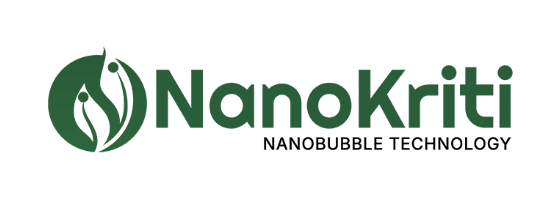 NanoKriti