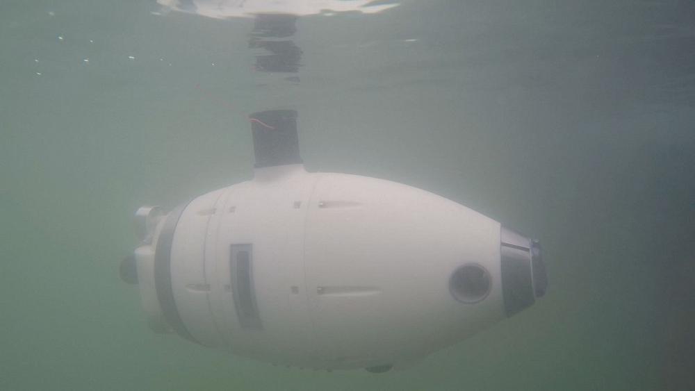 Underwater Robots Monitor Venice Lagoon ​