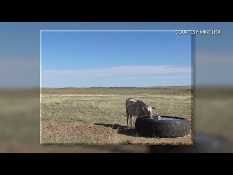 New technology aims to tackle agricultural water issues on the Navajo NationNew tech-focused effort between a New Mexico business and Sandia Nat...