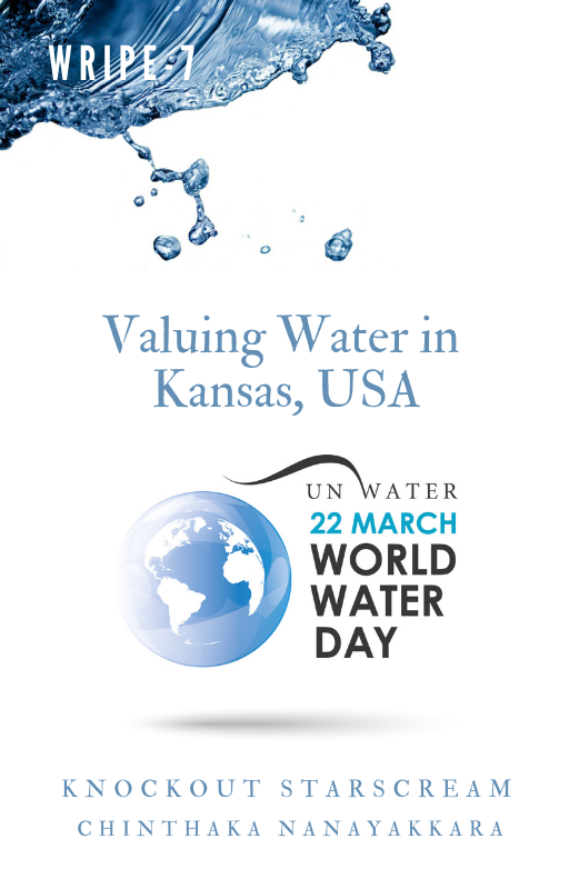 World Water ​Day 2021 - ​ Writing ​Project is my ​seventh writing ​project. My ​sixth writing ​project was ​held aligned to ​t...