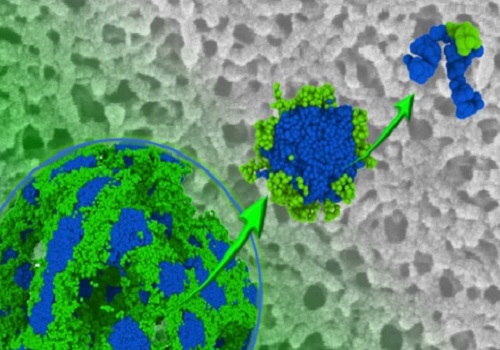 Copolymer membranes toughened up | KAUST Discovery