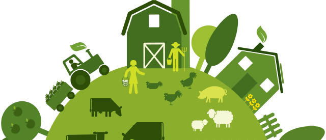 Alliance for Sustainable Agriculture