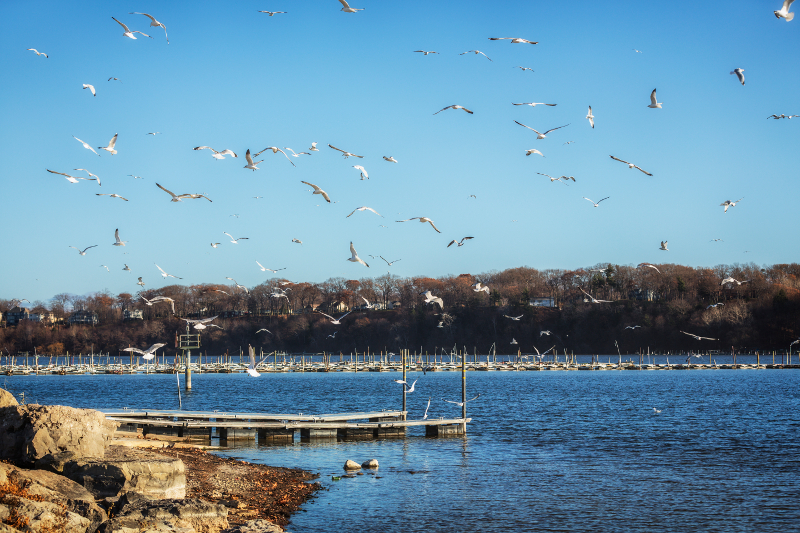 EPA Awards $10M for Coastal Monitoring Program