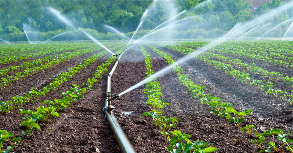 Tech to Integrate Precision Irrigation Data into Farm Programs