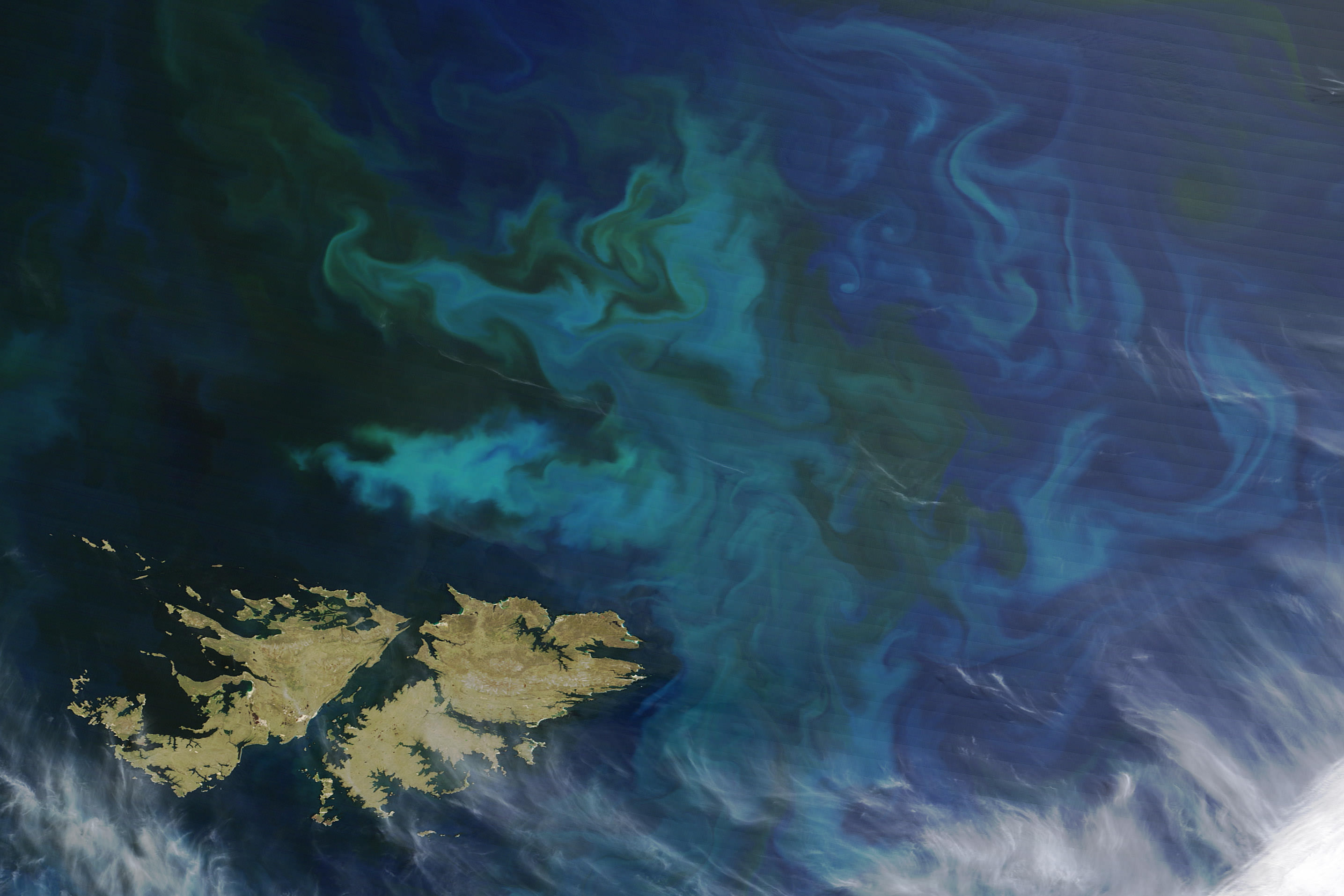 Robots Aid Better Understanding of Phytoplankton Blooms