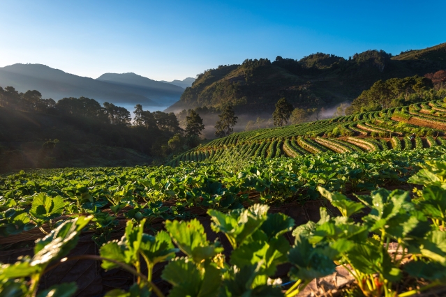 Even if the Paris Agreement is Implemented, Food and Water Supplies Remain at Risk