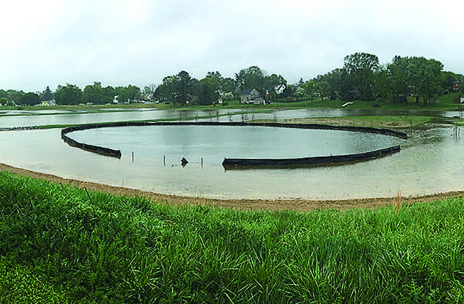VA's Artificial Wetland is the Real Deal in Slowing Stormwater Pollution